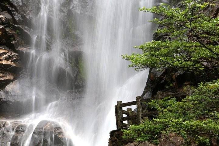 1526017485.jpg 14-2.jpg