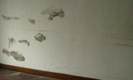 1526351703.jpg 4-1.jpg