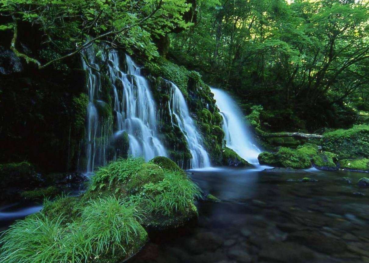 1527817272.jpg 4234.jpg