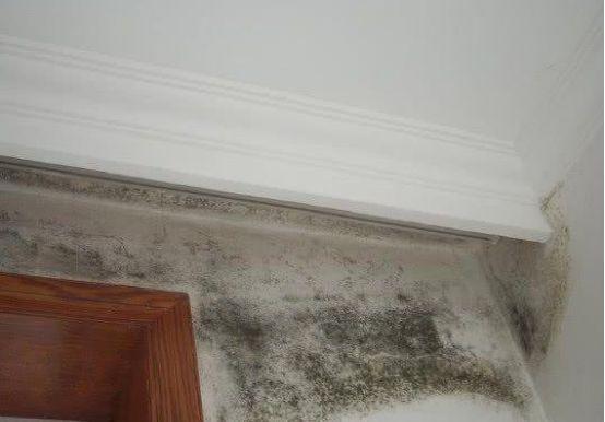 1551315571.jpg u=1458232757,284752249&f.jpg