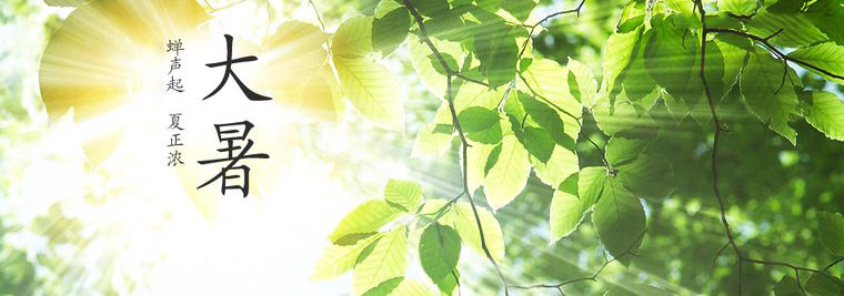 1563846679.jpg 453434.jpg