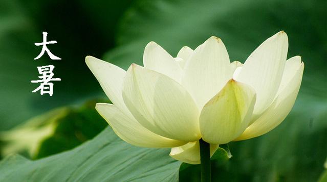 1563846683.jpg 435343.jpg