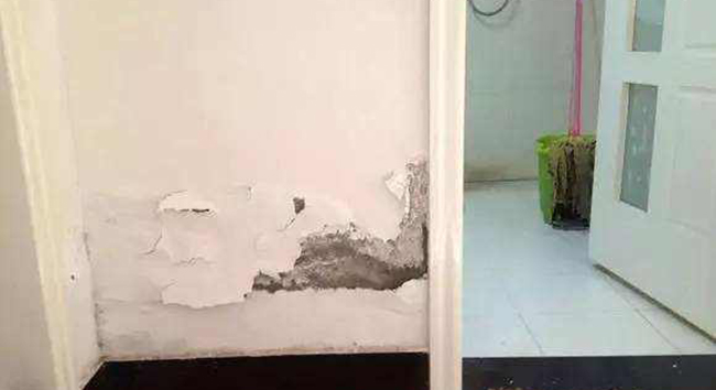 1565399292.jpeg u=1355176.JPEG