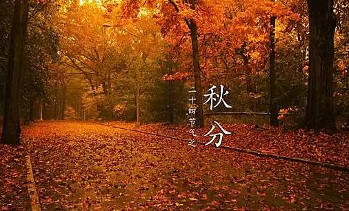 1569304102.jpg 56544.jpg