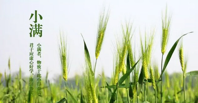 1589874828.jpeg cf1b9d16fd.jpeg