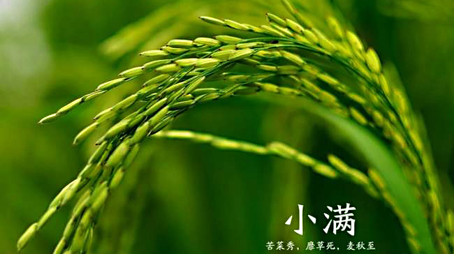 1589874852.jpg 5656.jpg