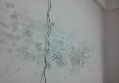 警惕！墻面發(fā)霉危害可能遠(yuǎn)比甲醛還兇！