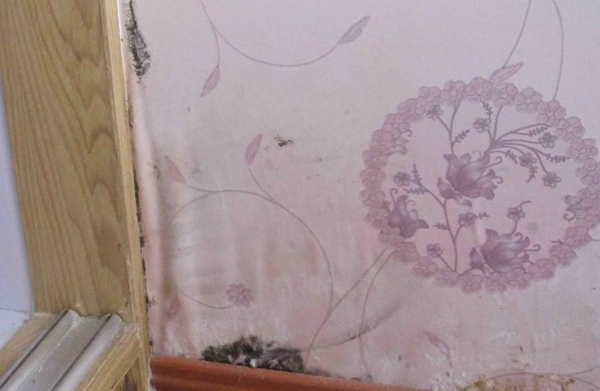 墻紙發(fā)霉起鼓 墻紙發(fā)霉起鼓